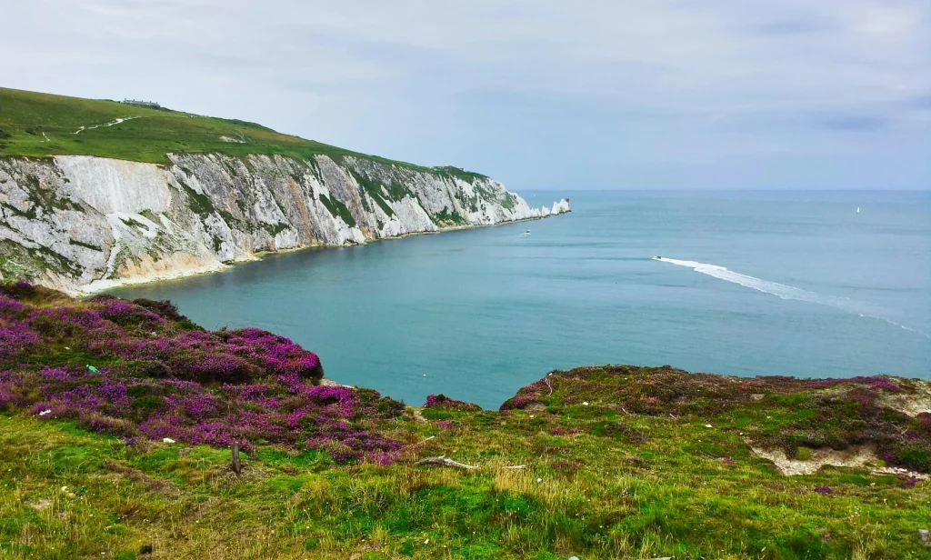PUBLISHED THOUGHT-LEADERSHIP | READY TO REPURPOSE | SIMILAR COPY AVAILABLE | IMAGERY INCLUDED

Explore wild swimming spots, local culture, and safety tips on the Isle of Wight — a swimmer’s coastal paradise.